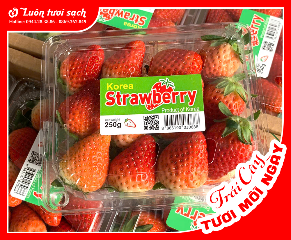 Dâu tây Hàn Quốc 300g